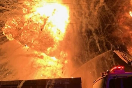 Ảnh minh họa. (Nguồn: nsw)