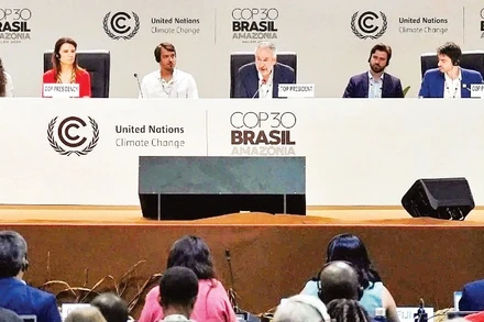 Một phiên họp toàn thể của COP30 tại Brazil.