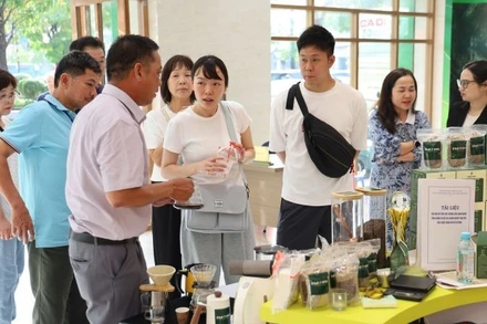 Người tiêu dùng tham quan, mua sắm các sản phẩm tiêu biểu tỉnh Quảng Trị được trưng bày tại Thành phố Hồ Chí Minh.