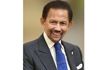 Quốc vương Brunei Darussalam Haji Hassanal Bolkiah. (Ảnh: TTXVN)