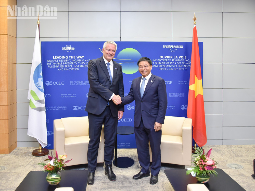 Bộ trưởng Tài chính Nguyễn Văn Thắng hội kiến Tổng Thư ký OECD Mathias Cormann. oecd-ngay-1.jpg