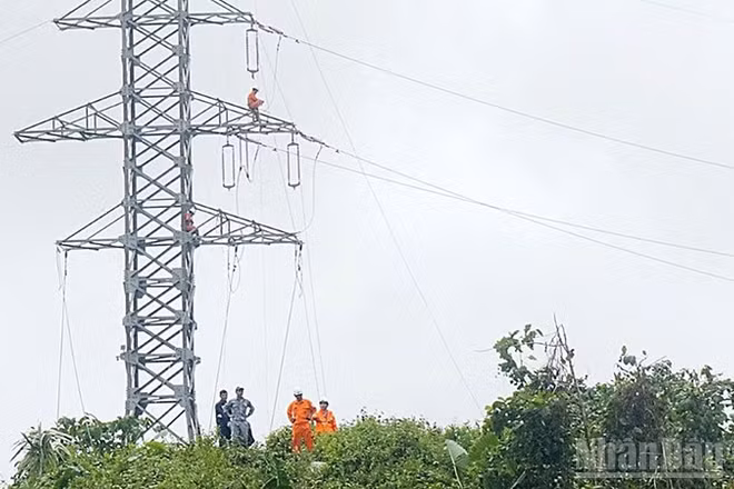 EVNCPC đã khôi phục điện cho gần 99% khách hàng miền trung sau lũ.