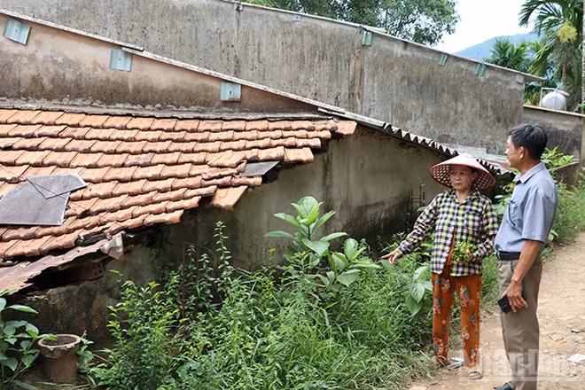 Bà Huỳnh Thị Nghĩa ở khu dân cư tổ 4, thôn Bồng Miêu, xã Phú Ninh luôn thấp thỏm nỗi lo sạt lở.