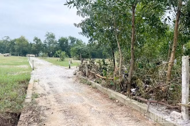 Tuyến mương thoát nước ở tổ đoàn kết số 6, khối phố Phú Đông, phường Quảng Phú, thành phố Đà Nẵng đã bị san lấp để xây dựng thành tuyến đường đá cấp phối kiên cố.