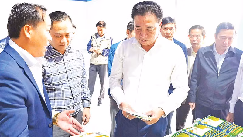 Thành phố Huế đã ban hành nhiều chính sách hỗ trợ nhằm thu hút doanh nghiệp đầu tư vào lĩnh vực phát triển kinh tế xanh, kinh tế tuần hoàn.