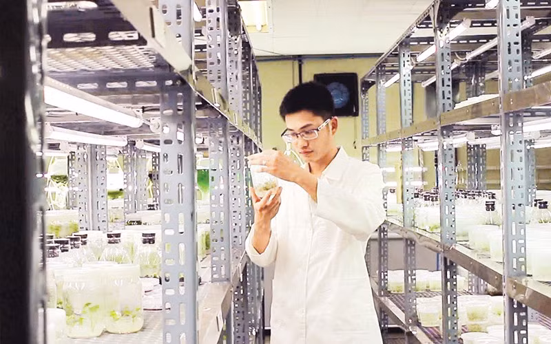 Đại học Duy Tân đẩy mạnh hoạt động nghiên cứu khoa học. (Ảnh MINH CHUNG)