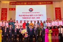 Ra mắt Ban Chấp hành Đảng bộ phường Tân Sơn Nhất. 