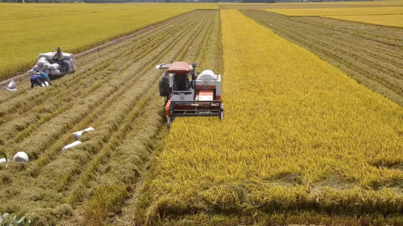 Đồng bằng sông Cửu Long triển khai đồng bộ từ giám sát đến vận hành thủy lợi.