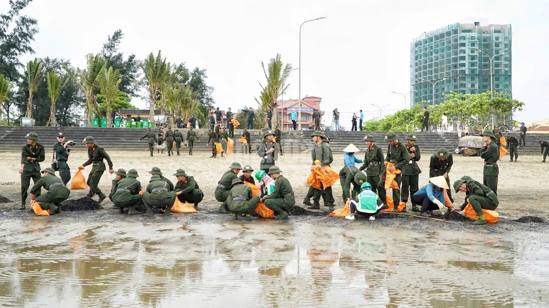Cửa Lò ra quân làm sạch biển và giải tỏa điểm nghẽn giao thông trước Festival 2026