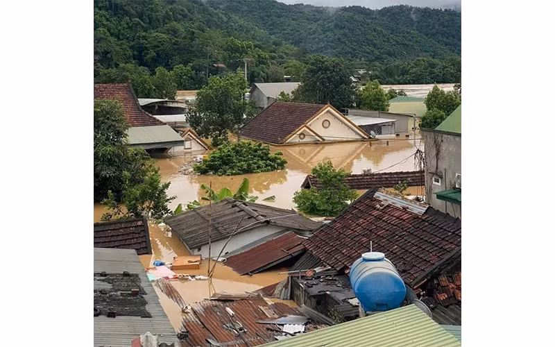 Nhiều ngôi nhà ngập sát mái ở Tương Dương, tỉnh Nghệ An. (Ảnh CTV)