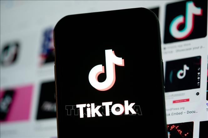 Biểu tượng TikTok trên màn hình điện thoại. (Ảnh: THX/TTXVN)