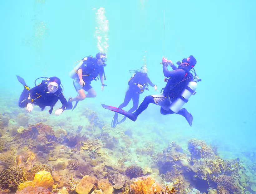 Lặn biển đang là loại hình du lịch được yêu thích ở Nha Trang, Khánh Hòa. (Ảnh CTV)