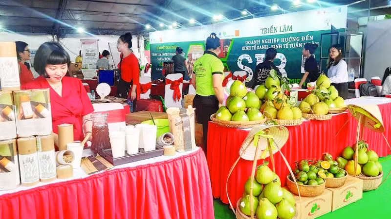 Doanh nghiệp giới thiệu sản phẩm thông qua các hoạt động xúc tiến thương mại do Thành phố Hồ Chí Minh tổ chức.