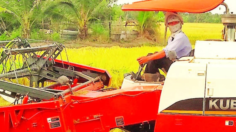 Cơ giới hóa đã thay thế sức lao động cho nông dân trồng lúa ở Tây Ninh.
