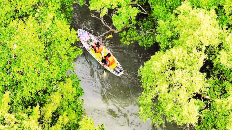 Du lịch sinh thái là thế mạnh của vùng Cần Giờ. (Ảnh THẾ ANH)