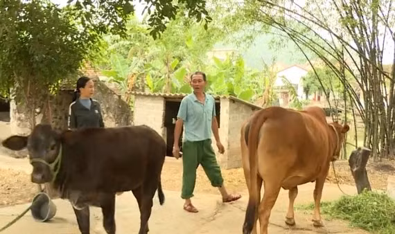 Mô hình chăn nuôi giúp nhiều hộ dân thoát nghèo. Ảnh: NGỌC LAN