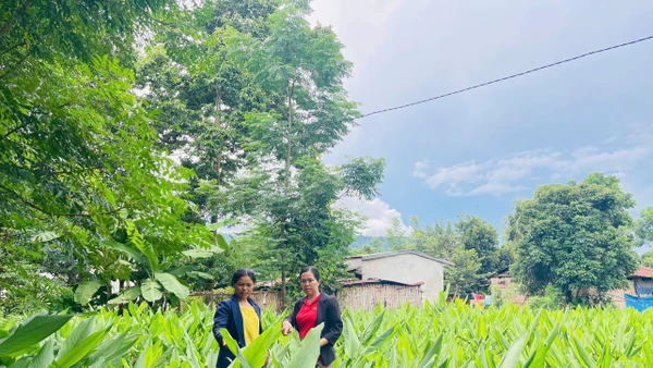 Mô hình sinh kế giúp nhiều người dân miền núi phía tây Quảng Ngãi nâng cao thu nhập.