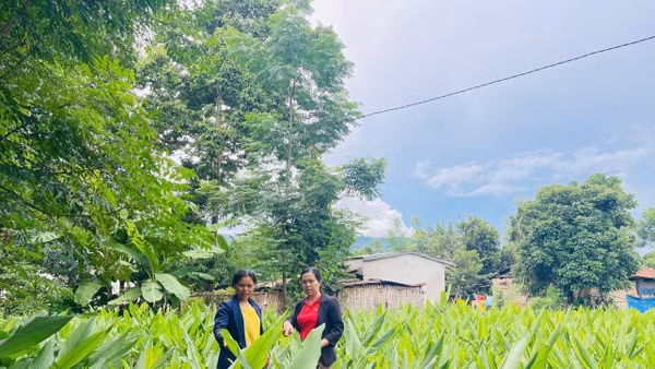 Mô hình sinh kế giúp nhiều người dân miền núi phía tây Quảng Ngãi nâng cao thu nhập.