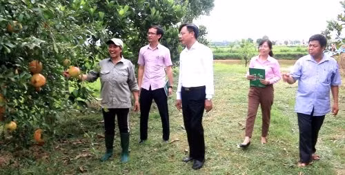 Mô hình trồng trọt, phát triển kinh tế từ vốn vay của ngân hàng chính sách xã hội.