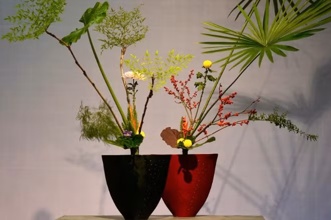 Vẻ đẹp tinh tế của các tác phẩm tại triển lãm Ikebana Hà Nội lần thứ 8.