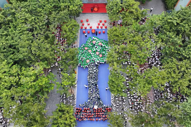 Thông điệp "Đất nuôi cây-Giá trị nuôi người". (Ảnh: NTCC)