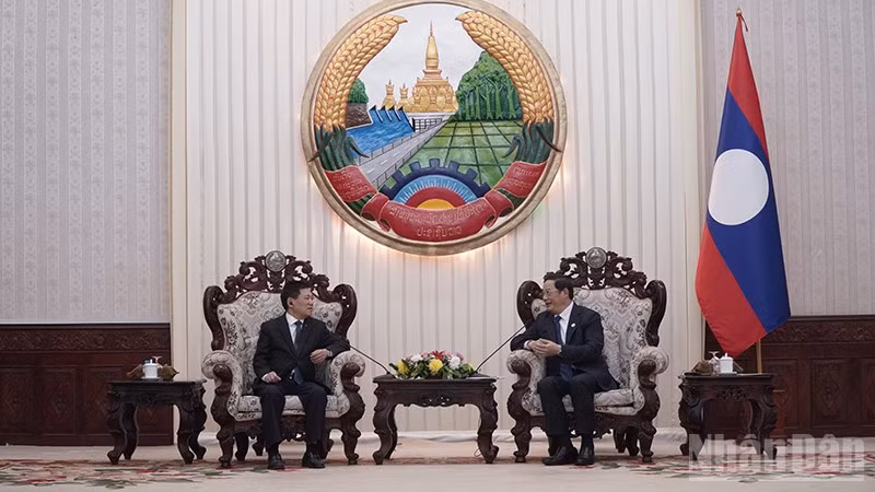 Phó Thủ tướng Hồ Đức Phớc hội kiến Thủ tướng Chính phủ Lào Sonexay Siphandone. (Ảnh: DUY TOÀN)