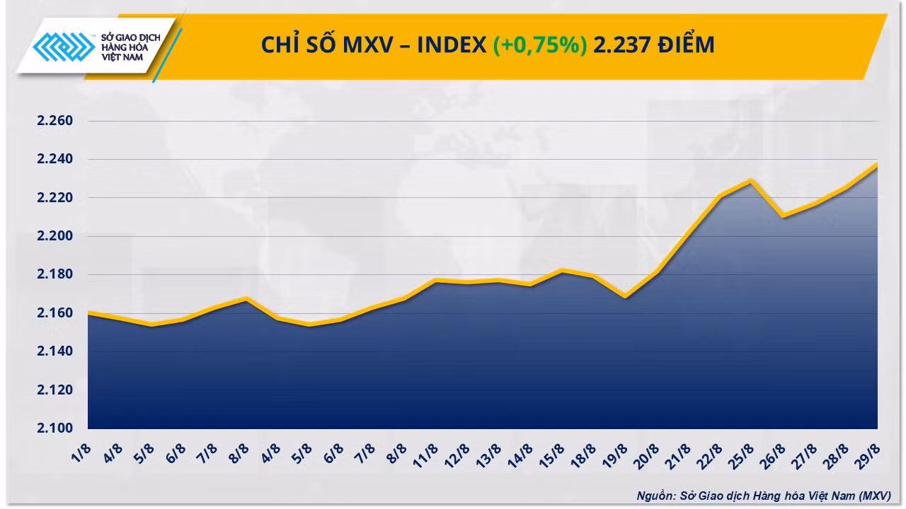 mxv-index.png