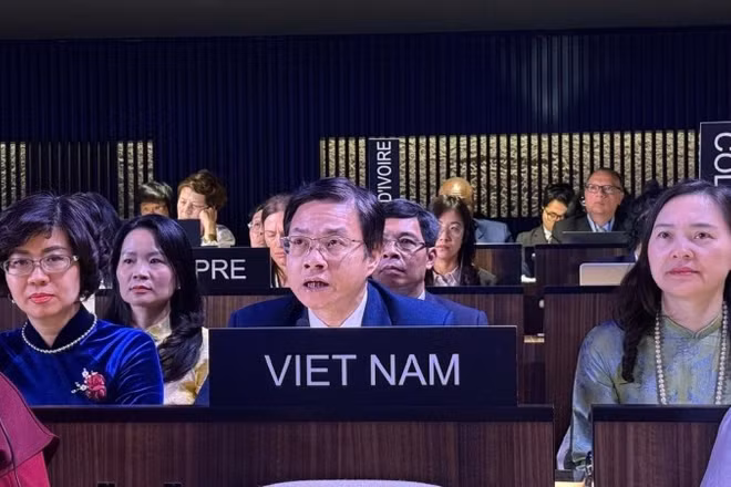Thứ trưởng Ngô Lê Văn, Chủ tịch Ủy ban Quốc gia UNESCO Việt Nam phát biểu tại Kỳ họp lần thứ 11 Đại hội đồng Công ước 2003.