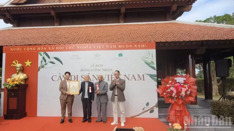 Hội Bảo vệ thiên nhiên và môi trường Việt Nam trao công nhận 12 cây cổ thụ là Cây di sản Việt Nam tại cho đại diện Khu nghỉ dưỡng chăm sóc sức khỏe SenNa.