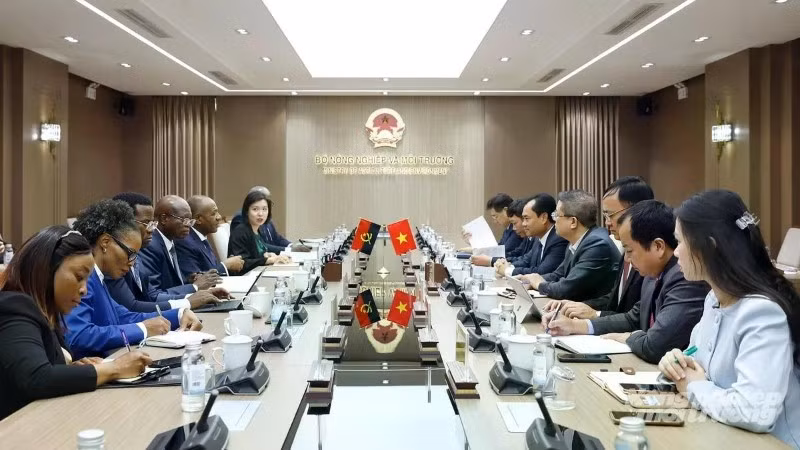 Bộ trưởng Nông nghiệp và Môi trường Trịnh Việt Hùng hội đàm với Bộ trưởng Nông nghiệp và Lâm nghiệp Angola Issac Francisco Maria dos Anjos nhằm thúc đẩy quan hệ hợp tác kinh tế, thương mại và kỹ thuật trong lĩnh vực nông nghiệp giữa hai nước. (Ảnh: KHƯƠNG TRUNG)