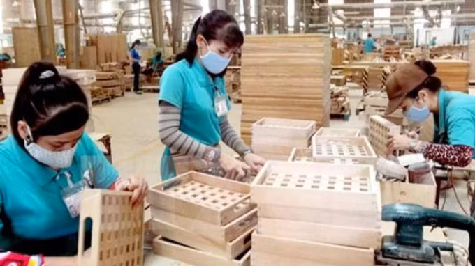 Xuất khẩu gỗ và sản phẩm gỗ của Việt Nam đạt khoảng 17,2 tỷ USD trong năm 2025. (Ảnh: Báo Nông nghiệp và Môi trường)