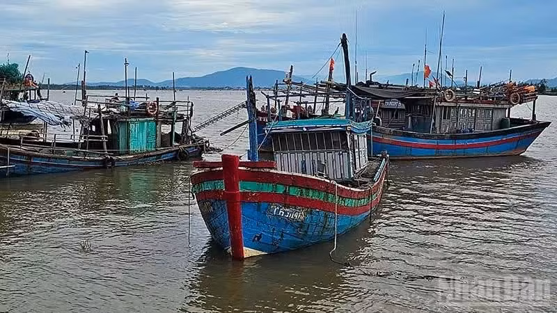 Phương tiện nghề cá cập bến ở xã Tiên Trang. (Ảnh: Mai Luận)