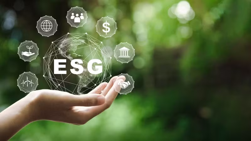 Năm 2025 nên được coi là giai đoạn thử nghiệm kiểm kê nội bộ để doanh nghiệp làm quen, chuẩn bị kỹ lưỡng trước khi nghĩa vụ chính thức được thực hiện từ năm 2026.