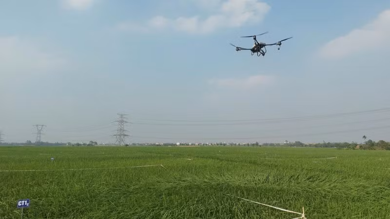 Sử dụng Drone phun thuốc bảo vệ thực vật. (Ảnh: BÍCH HỒNG)