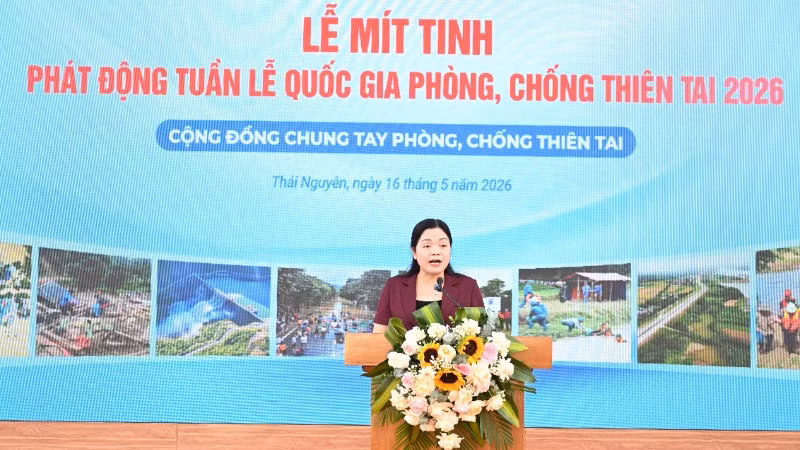 thai-nguyen-467.jpg
