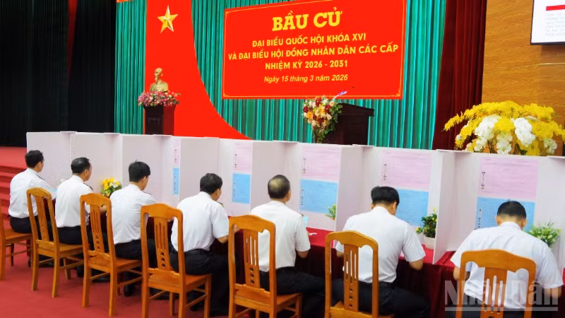 ndo_br_4-cac-cu-tri-nghien-cuu-va-ghi-phieu-bau-6258.jpg