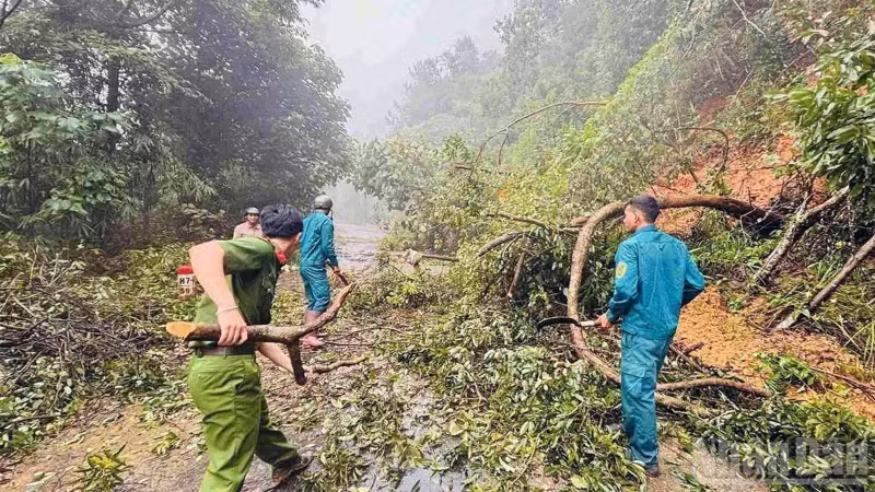 Mưa lớn diện rộng từ thành phố Huế đến Lâm Đồng gây lũ trên nhiều sông, làm hàng nghìn nhà dân bị ngập, hơn 3.300 ha cây trồng thiệt hại, 1 người tử vong tại Lâm Đồng.