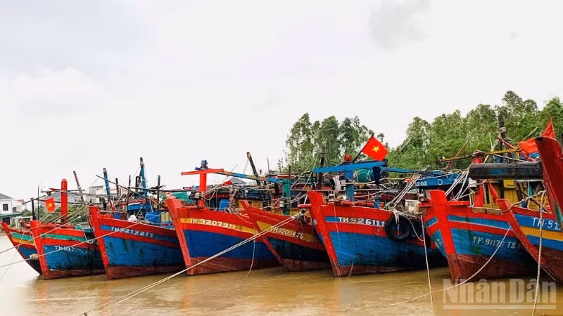 Hiện bốn địa phương Quảng Ninh, Hải Phòng, Hưng Yên và Ninh Bình đã ban hành lệnh cấm biển.