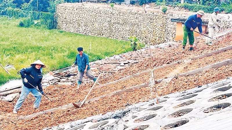 Công nhân Công ty Trách nhiệm hữu hạn tư vấn đầu tư và xây dựng Lâm Phúc thi công mái đập hồ chứa Trại Lần. (Ảnh: nhandan.vn)