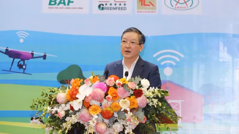 ong-doan-8266.jpg