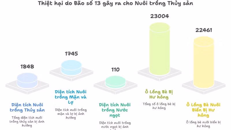 infor-4443.jpg