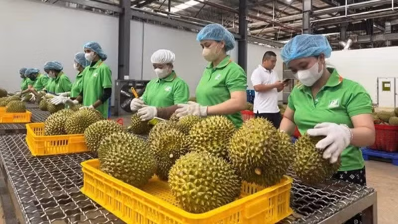 Hệ thống truy xuất nguồn gốc nông sản chính thức vận hành, hình thành nền tảng dữ liệu thống nhất trên phạm vi cả nước.
