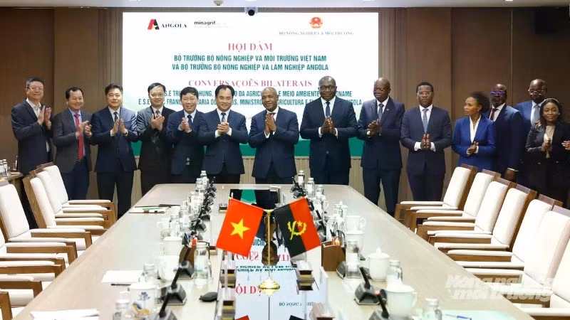 baonnmt-20260616-hop-tac-angola-8-124558-807-124601-131719-782.jpg