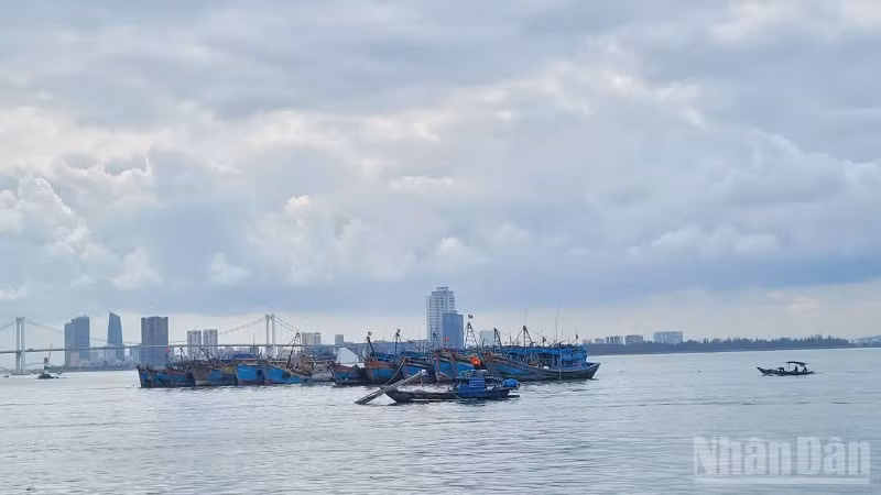Ban Chỉ đạo Phòng thủ dân sự quốc gia đề nghị Ủy ban nhân dân các tỉnh, thành phố ven biển từ Quảng Ninh đến An Giang chủ động triển khai các biện pháp ứng phó, hạn chế thiệt hại.