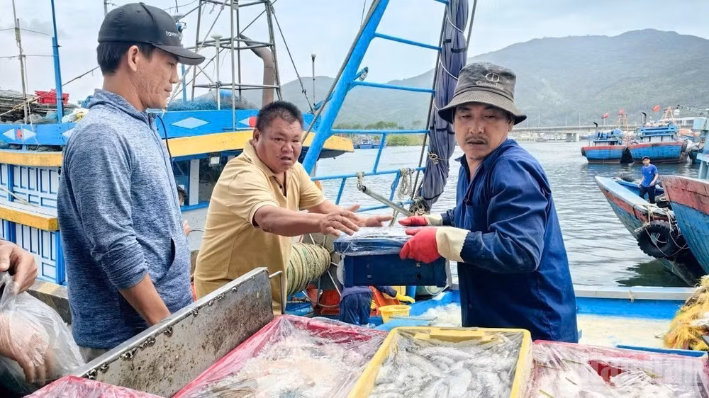 Triển khai eCDT tại các địa phương ven biển còn chưa đồng đều.