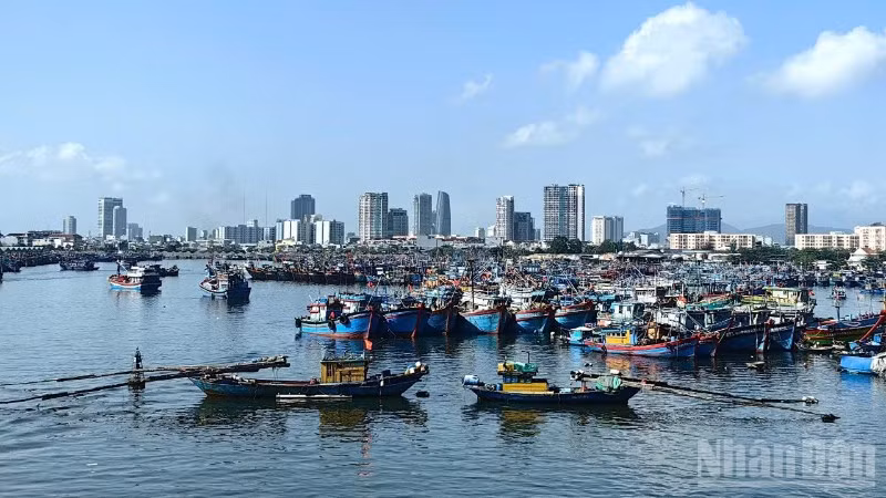 Đến chiều 3/7, hơn 56.000 tàu thuyền với trên 249.000 lao động đã được thông báo, hướng dẫn tránh bão; nhiều địa phương đã ban hành lệnh cấm biển, chủ động bảo đảm an toàn về người và tài sản.