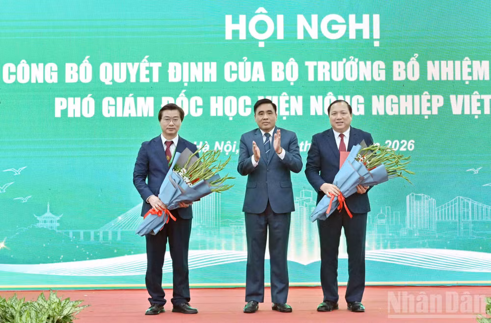 ndo_br_z8045950794226-848cc0d69301077a7a0f5066dea6a596.jpg