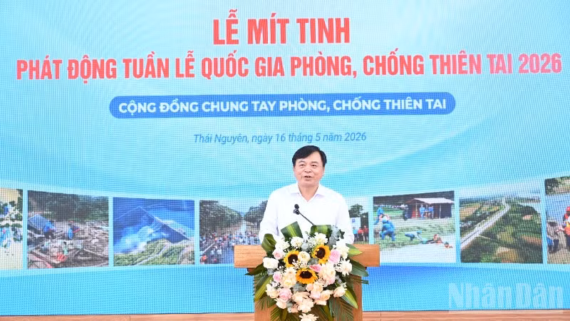ndo_br_tth-8255.jpg