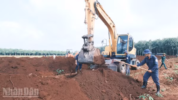 Đội K72 tổ chức đào khảo sát tìm kiếm hài cốt liệt sĩ tại nhiều vị trí khác nhau.