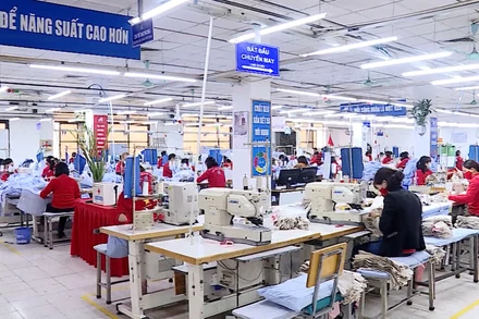 [Video] Lao động thời vụ được “săn đón” dịp cận Tết